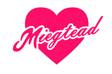 MIEGTEAD标识LOGO图案热转印桃心