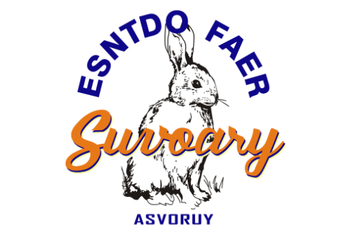 ESNTDO FAER suvqay兔子英文热转印图案