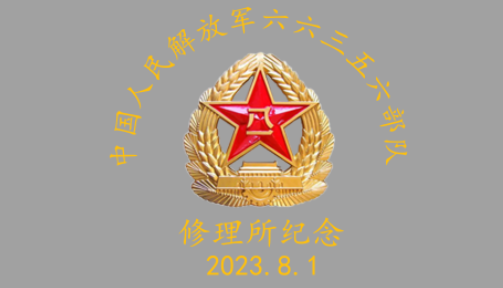 中国人民解放军六六三吴六部队LOGO标识