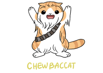 CHEW BACCAT 卡通猫咪