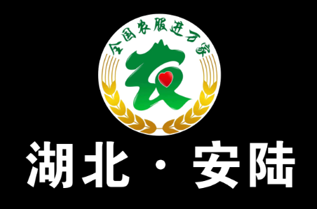 湖北安陆LOGO