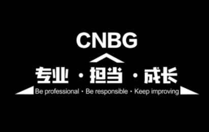 专业 担当成长 CNBG