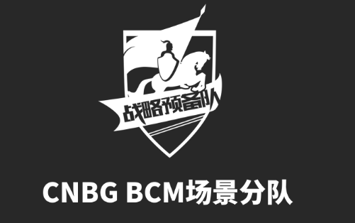 战略预备队LOGO CNBG BCM