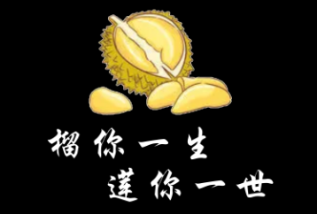 榴你一生莲你一世LOGO