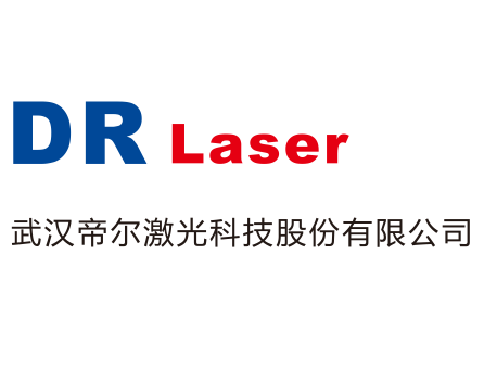 DR LASER 武汉帝尔激光科技股份有限公司LOGO