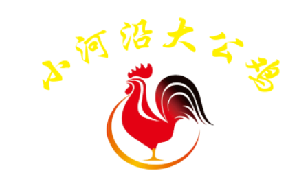 小河沿大公鸡LOGO