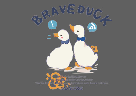 BRAVEDUCK小鸭子