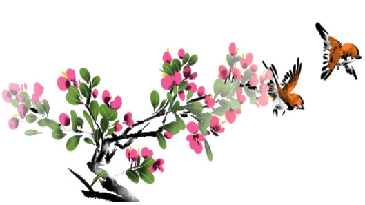 小燕子&植物花朵