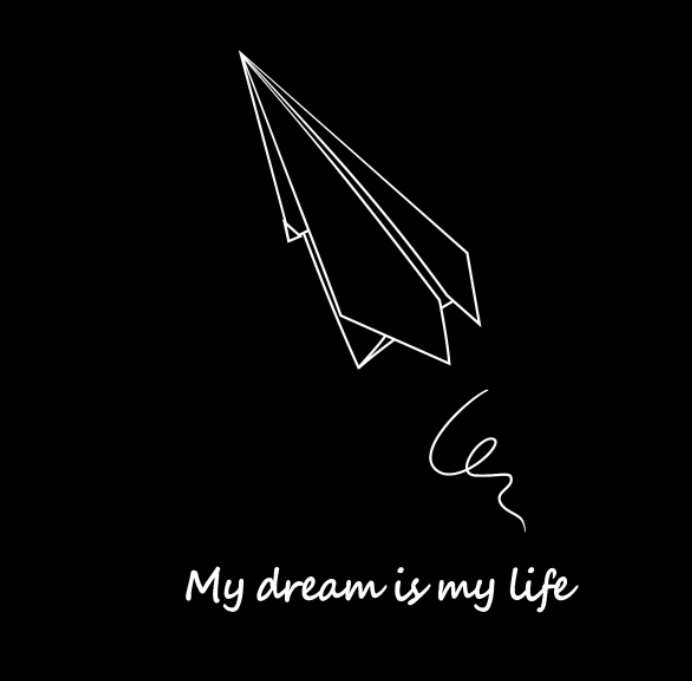 纸飞机My dream is my life服饰印花