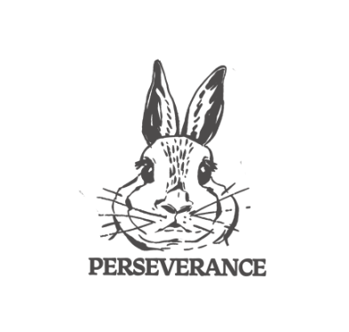 PERSEVERANCE兔子
