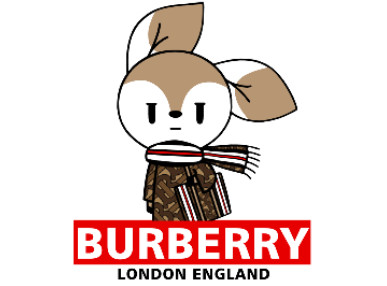 BURBERRY购物兔